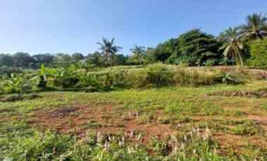 dijual tanah lebak gede kec pulomerak