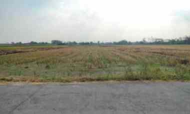 dijual tanah lemah abang dibal kec