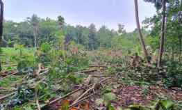 Dijual Tanah Kavling Murah Siap Ajb Lokasi Kasihan Bantul Yogyakarta