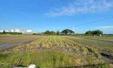 dijual tanah lengkong jatigedong