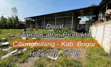 dijual tanah leuwiliang kel dukuh kec