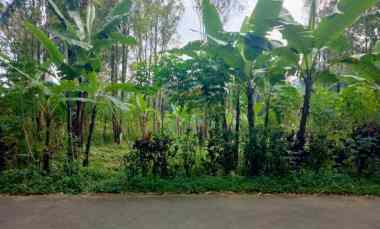 Dijual Tanah Pinggir jl Desa Kawasan Wisata di Linggarjati