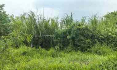 Tanah Strategis dekat Area Pergudangan dan Industri Lingkar Timur Sido