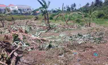 Dijual Tanah Lokasi di Sebelah Barat Pantai Cemagi