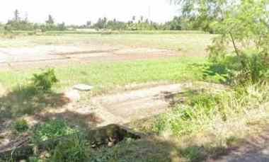 dijual tanah lokasi industri