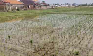 dijual tanah lokasi strategis