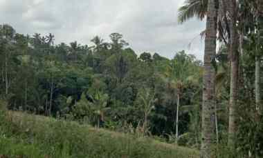 dijual tanah lokasi strategis di wongayagede