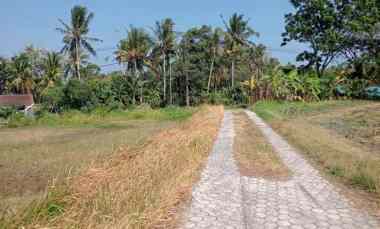 Dijual Tanah Lokasi Strategis Siap Bangun View Sawah