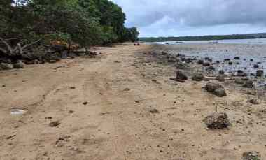 dijual tanah los pantai