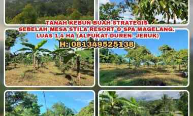 dijual tanah losari grabag magelang