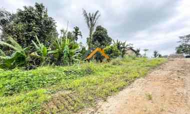 dijual tanah luas 60 hektar di jalan namorambe sembahe