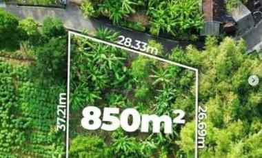 dijual tanah luas 850 meter shm tabanan bali