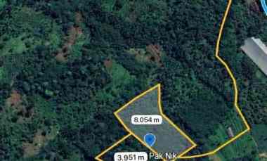 dijual tanah luas purwodadi