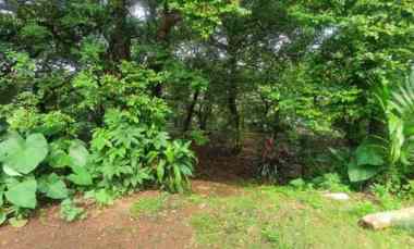 dijual tanah luas shm dekat depok town square