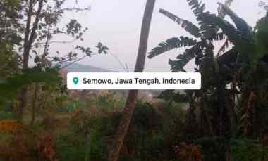 dijual tanah macanan semowo kab semarang