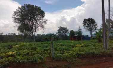 Dijual Lahan Luas Strategis 50 Hektar di Cikalong, Bandung Barat
