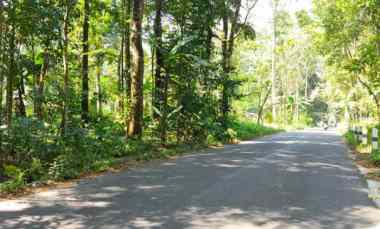 dijual tanah mangku jln raya prambanan glagaharjo