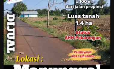 dijual tanah manunggal