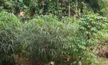 Tanah Strategis dekat Terminal Bus Bekasi, Margahayu, Bekasi Timur