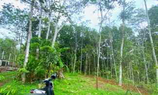 dijual tanah matesih karangpandan