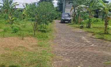 dijual tanah melangkaja