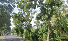 Tanah di Jalan Utama Denpasar Gilimanuk dekat Pantai Candikusuma Bali