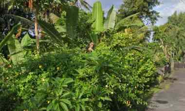 dijual tanah mengwi