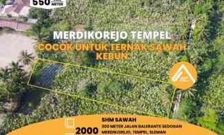 Tanah Tempel Merdikorejo Cocok untuk Ternak Sawah Kebun