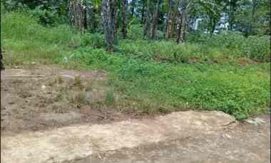 dijual tanah mijen