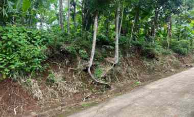 dijual tanah mojogedang karanganyar