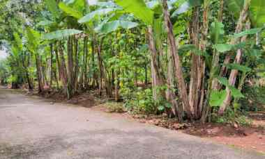 dijual tanah mojogedang karanganyar