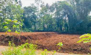 dijual tanah mojogedang karanganyar