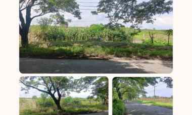 Tanah Luas Pinggir Jalan Raya Brumbung Mranggen U/ Usaha Industri