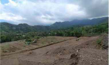 dijual tanah murah buleleng bali potensi investasi