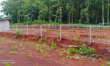 Dijual Tanah Murah Kavling SHM di Sidorejo, Jatisrono