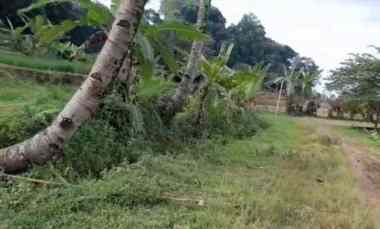 dijual tanah murah tanah kebun akses jalan mobil
