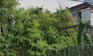 dijual tanah nangka selatan