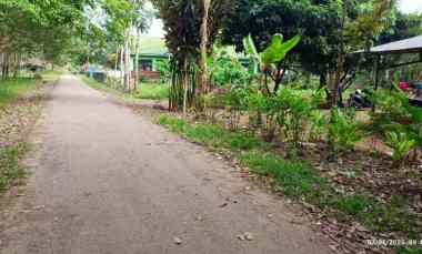 Tanah di Negeri Katon 3,2 Hektar Nempel Aspal Surat SHM