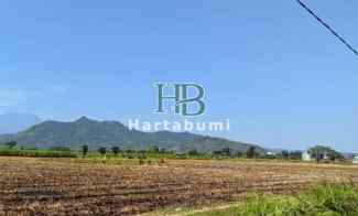 Dijual Tanah Kediri dekat UB dan Pondok Lirboyo View Bagus - SHM