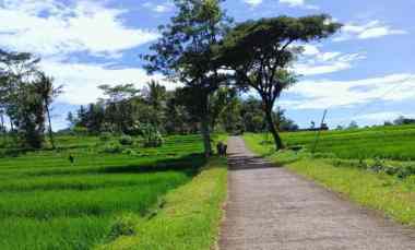 Tanah Strategis Bangun Villa Utara Pasar Karangpandan, Karanganyar