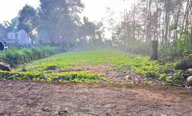 dijual tanah ngargoyoso karanganyar