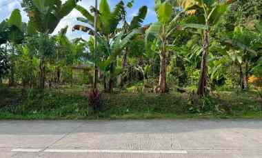 dijual tanah ngargoyoso karanganyar