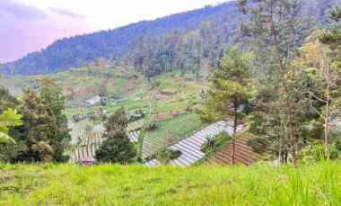 dijual tanah ngargoyoso karanganyar