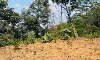 dijual tanah ngargoyoso karanganyar