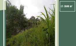 Tanah Murah Luas Cocok untuk Investasi, Kebun/Rumah di Kota Malang