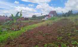 Tanah Kebun Luas Siap untuk Dibangun Hunian Lokasi Karangploso Malang