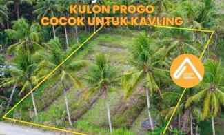 Tanah Kulon Progo dekat Jalan Kyai Ronggo Cocok untuk Kavling