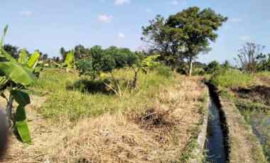 dijual tanah nyambu kaba kaba tabanan bali