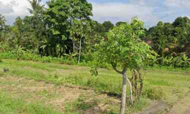 dijual tanah nyambu raya kaba kaba