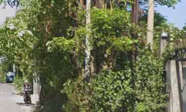 dijual tanah padang galak sanur